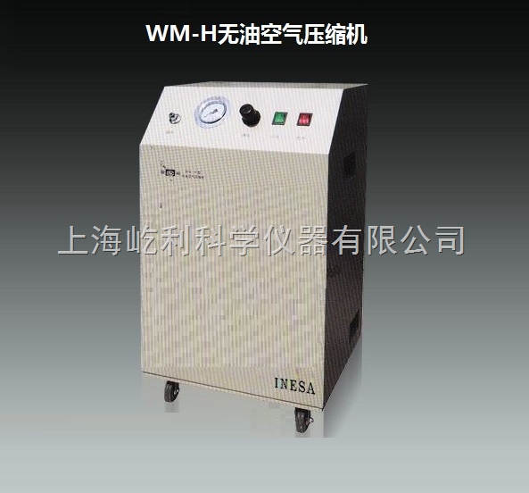 WM-H  无油空气压缩机 原吸专配 光谱配件